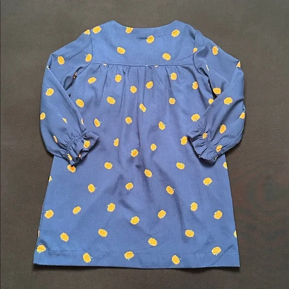 Crewcuts by J Crew navy pumpkin dress size XS (4-5) - Picture 5 of 6